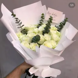 جوري ابيض